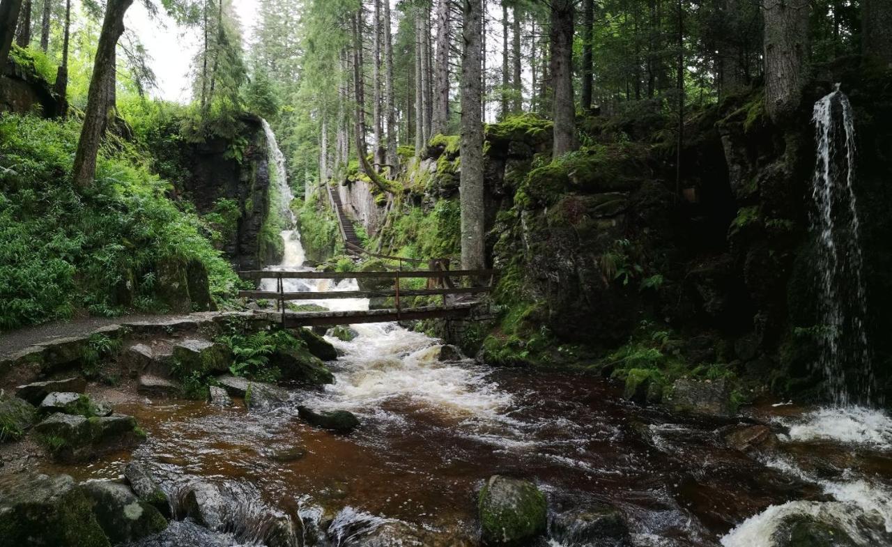 C3 Albmatte-Fewo Sauna, Hallenbad Aussenbecken Massagen Nebenan St. Blasien Extérieur photo