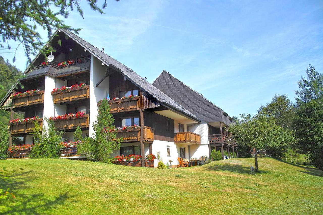 C3 Albmatte-Fewo Sauna, Hallenbad Aussenbecken Massagen Nebenan St. Blasien Extérieur photo