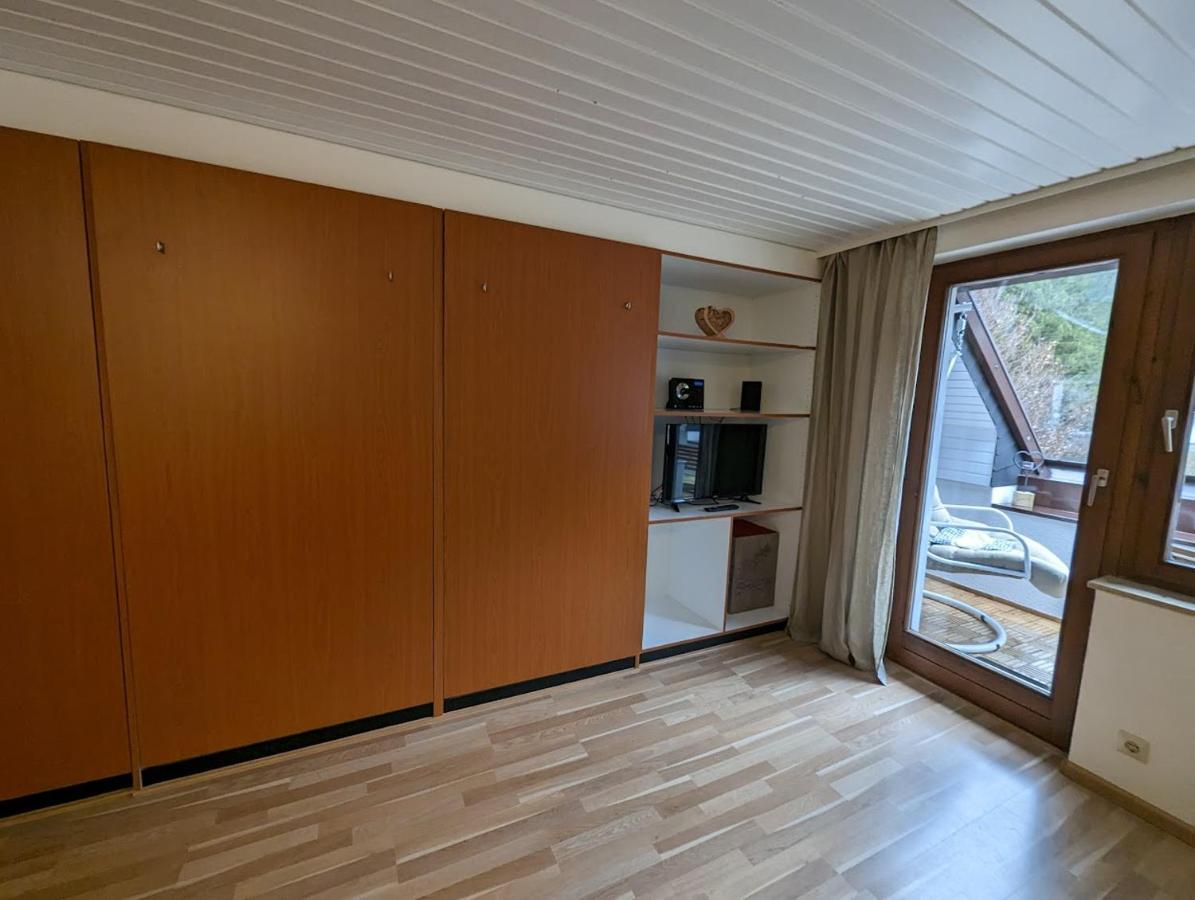 C3 Albmatte-Fewo Sauna, Hallenbad Aussenbecken Massagen Nebenan St. Blasien Extérieur photo