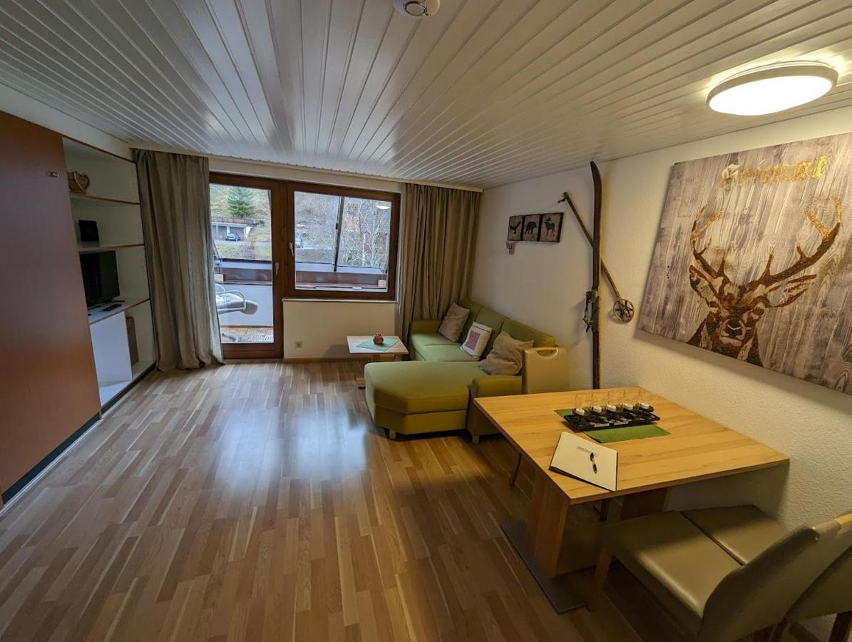 C3 Albmatte-Fewo Sauna, Hallenbad Aussenbecken Massagen Nebenan St. Blasien Extérieur photo
