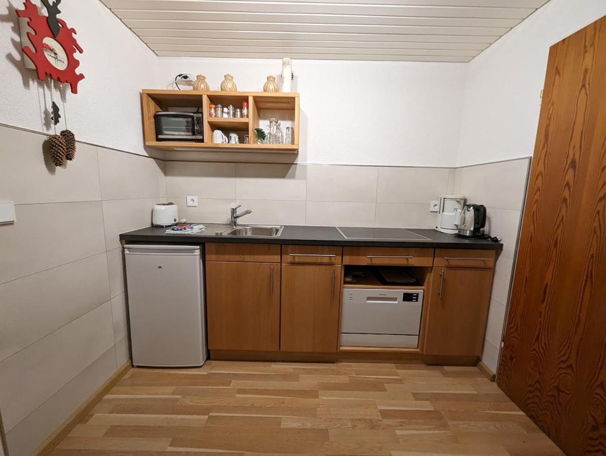 C3 Albmatte-Fewo Sauna, Hallenbad Aussenbecken Massagen Nebenan St. Blasien Extérieur photo