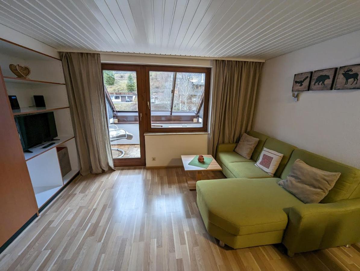 C3 Albmatte-Fewo Sauna, Hallenbad Aussenbecken Massagen Nebenan St. Blasien Extérieur photo