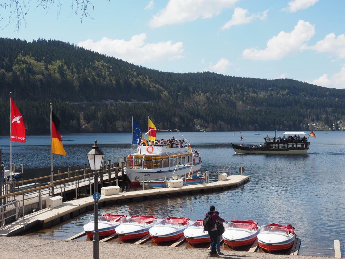 C3 Albmatte-Fewo Sauna, Hallenbad Aussenbecken Massagen Nebenan St. Blasien Extérieur photo