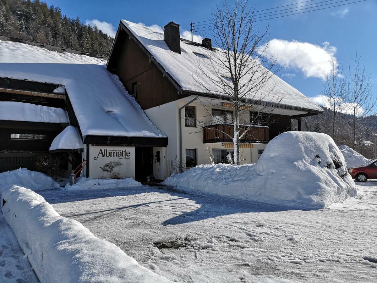 C3 Albmatte-Fewo Sauna, Hallenbad Aussenbecken Massagen Nebenan St. Blasien Extérieur photo