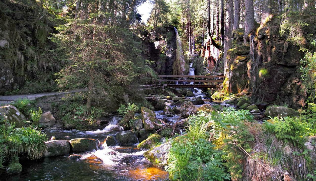 C3 Albmatte-Fewo Sauna, Hallenbad Aussenbecken Massagen Nebenan St. Blasien Extérieur photo
