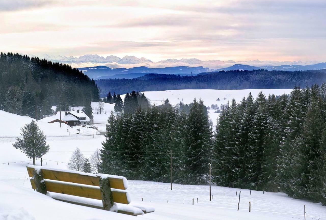 C3 Albmatte-Fewo Sauna, Hallenbad Aussenbecken Massagen Nebenan St. Blasien Extérieur photo