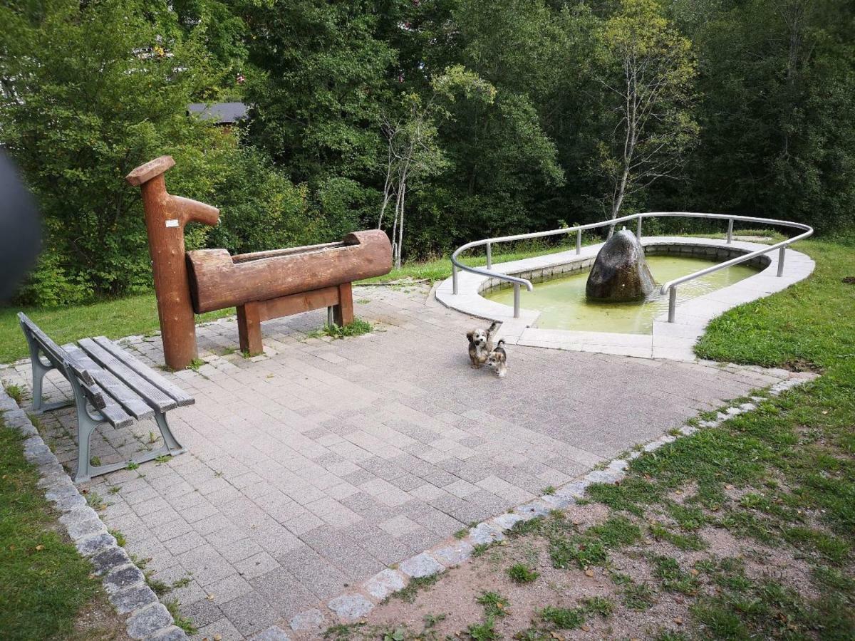 C3 Albmatte-Fewo Sauna, Hallenbad Aussenbecken Massagen Nebenan St. Blasien Extérieur photo